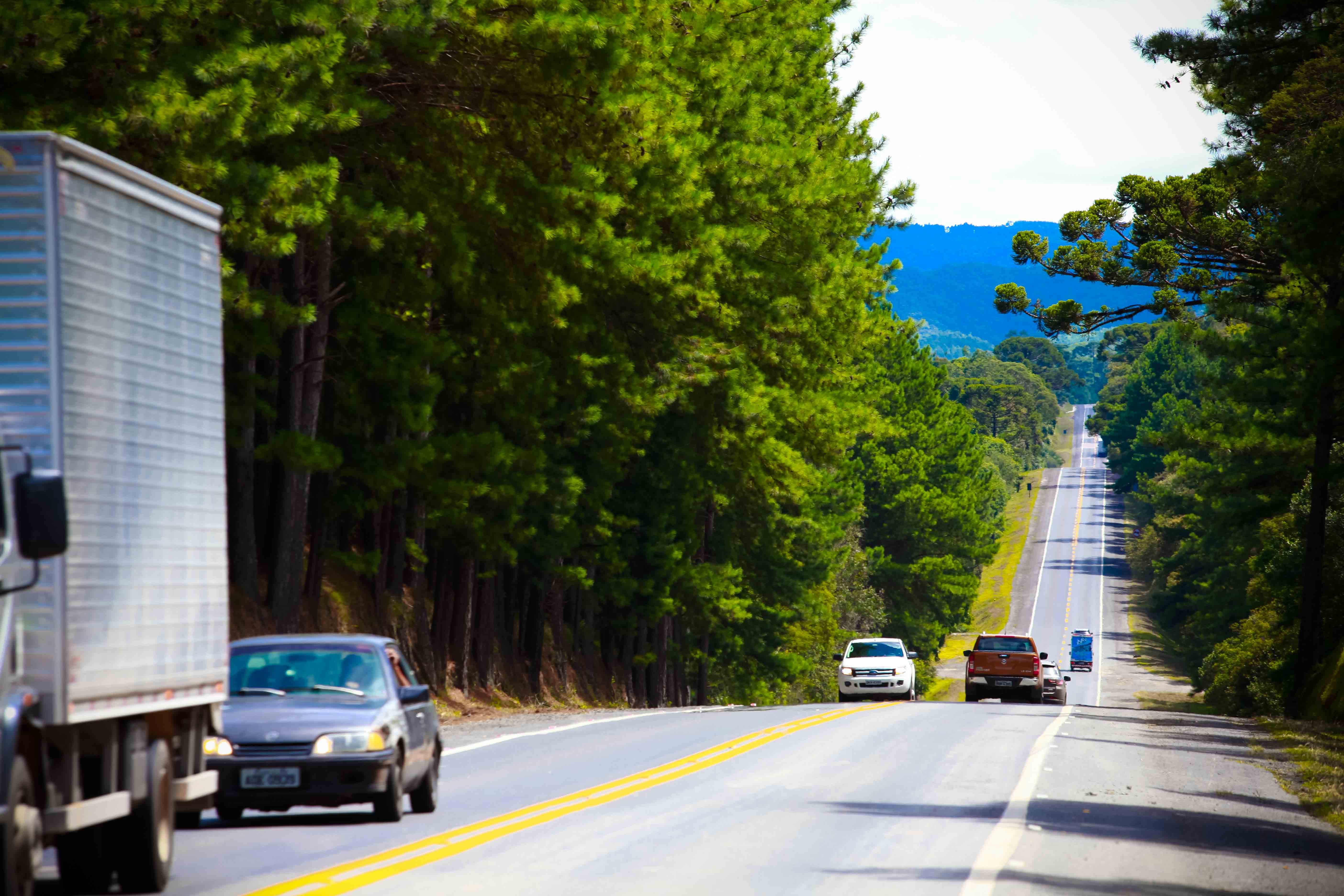 50480931322_64a9889936_o