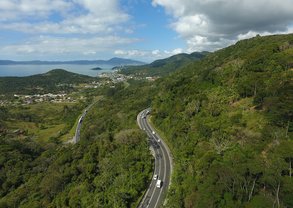 50482102396_4001f095f4_o