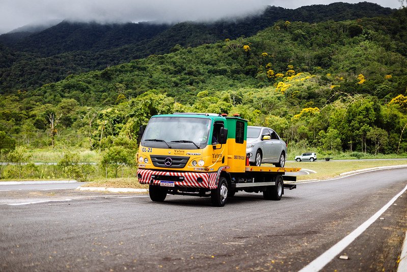 52427727698_6dc485e673_c