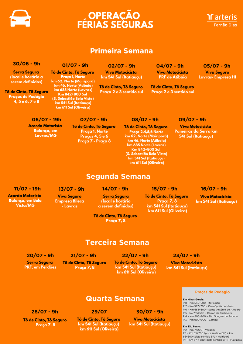 Cópia de Purple Modern Project Timeline Document (A4)