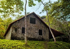 Creditos Flavia Nascimento