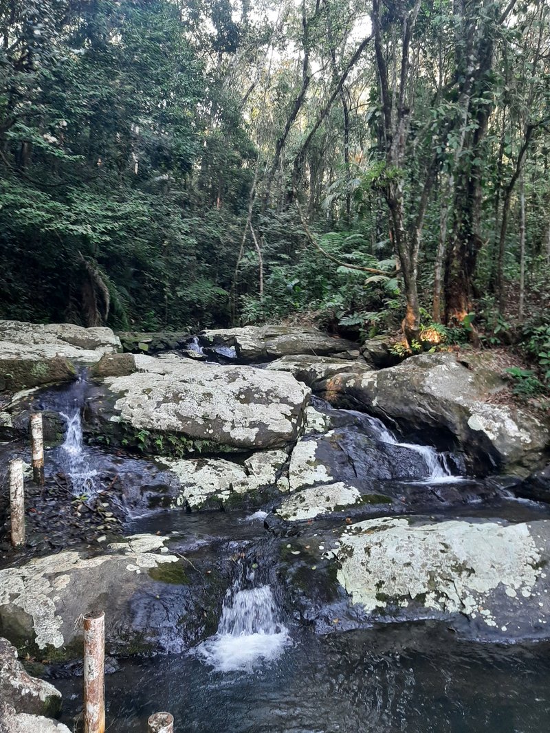 Creditos Flavia Nascimento (3)