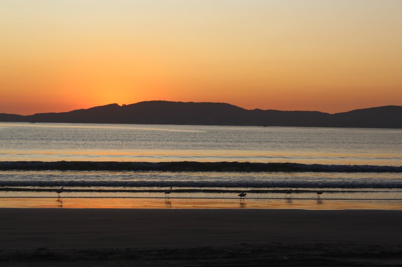 Itapema - Divulgação PMI (12)