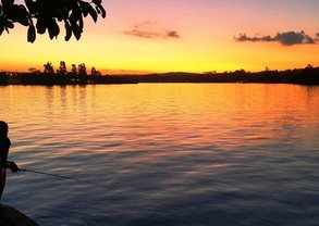 WhatsApp Image 2023-04-06 at 06.05.25