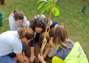 WhatsApp Image 2023-06-14 at 15.45.31