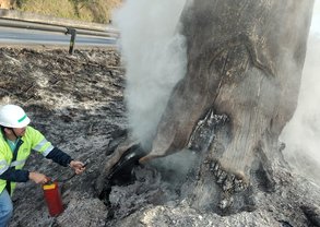 WhatsApp Image 2023-07-20 at 15.29.52 (1)