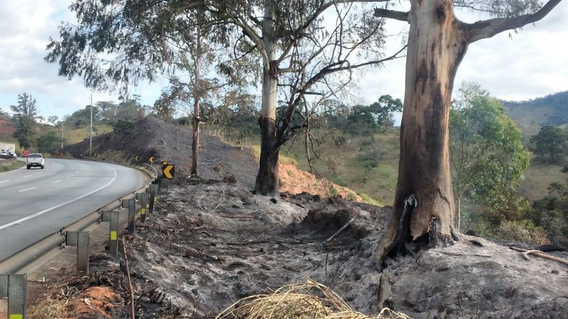 WhatsApp Image 2023-07-20 at 15.29.50