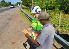 ArterisFL_VivaPedestre_Campos_01