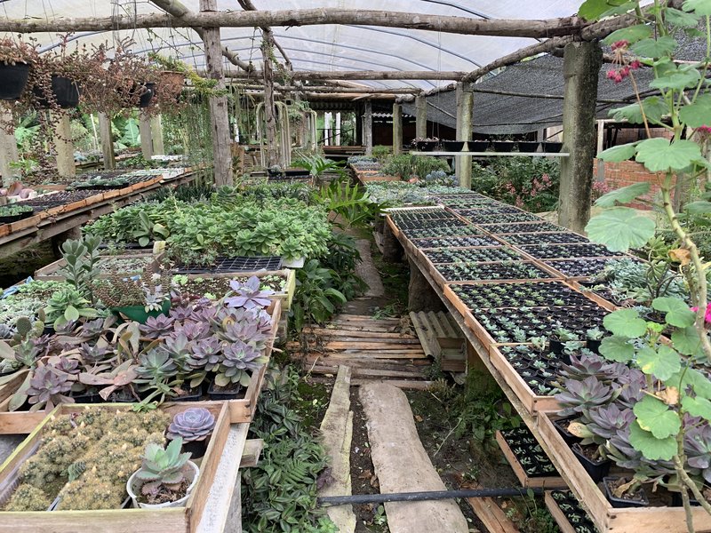 Créditos: Flavia Nascimento